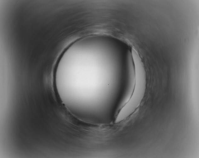 X0000095910148200802081100