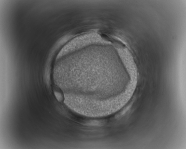 X0000095910149200802081100