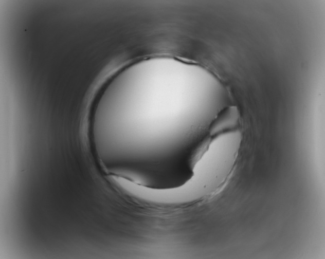 X0000095910150200802081100