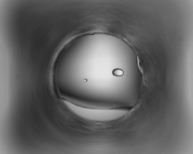 X0000095910152200802081100