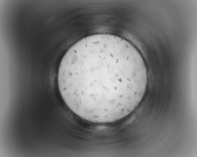 X0000095910153200802081100