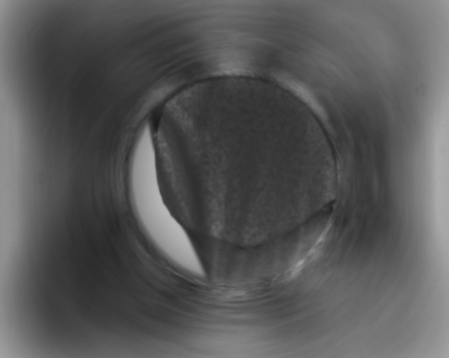 X0000095910154200802081100