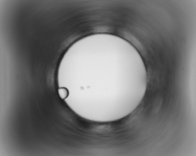 X0000095910155200802081100