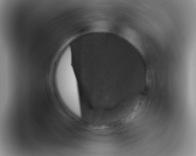 X0000095910156200802081100