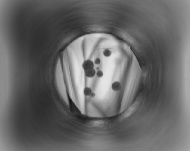 X0000095910158200802081100