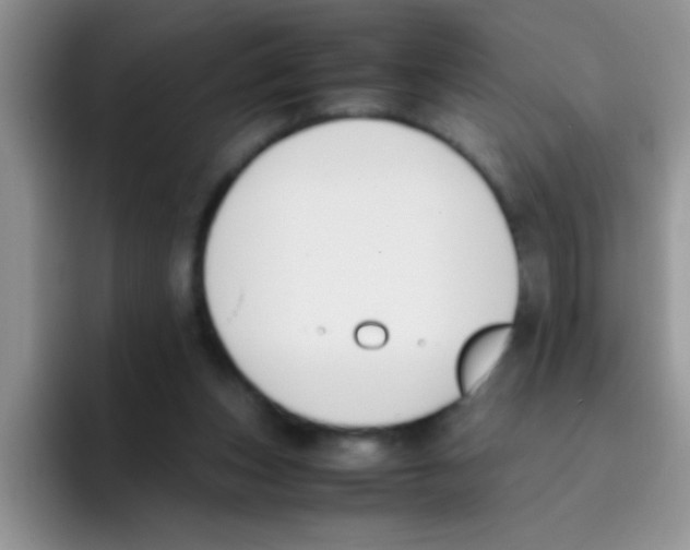 X0000095910159200802081100