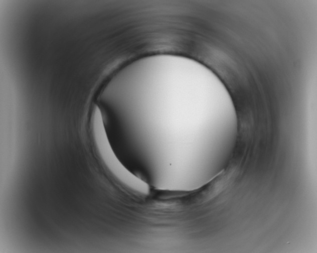 X0000095910160200802081100