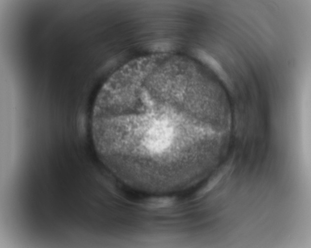 X0000095910161200802081100