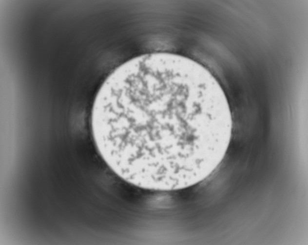 X0000095910162200802081100