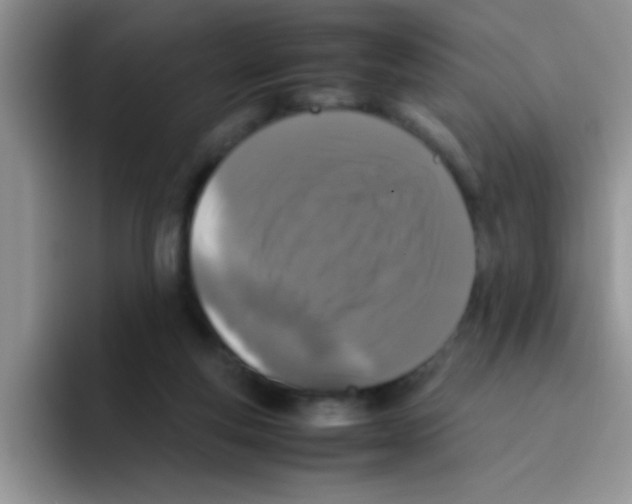 X0000095910163200802081100