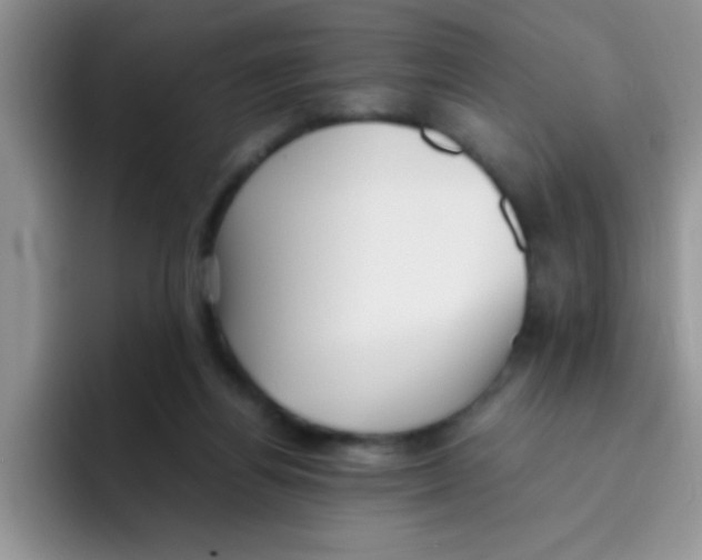 X0000095910164200802081100