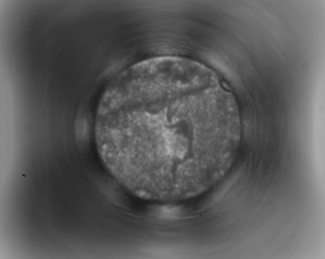 X0000095910165200802081100