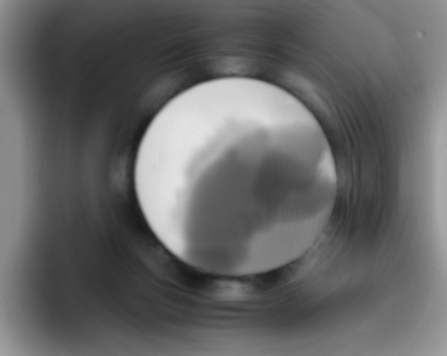 X0000095910167200802081100