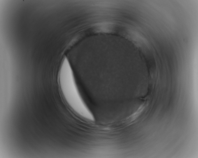 X0000095910168200802081100