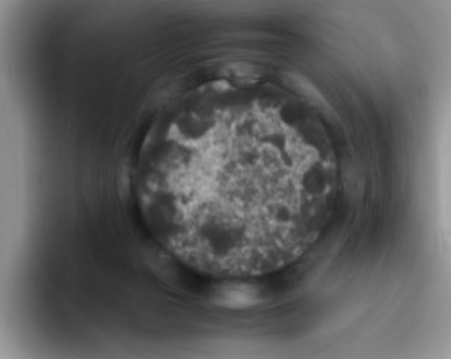 X0000095910169200802081100