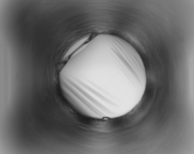 X0000095910170200802081100