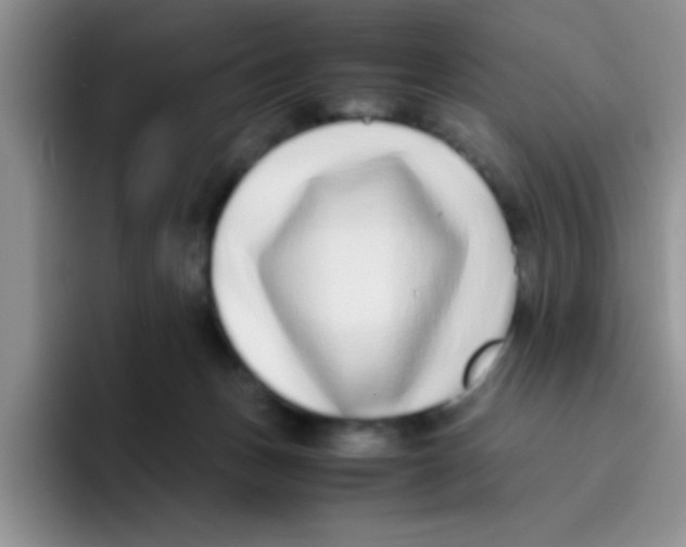 X0000095910175200802081100