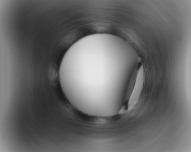 X0000095910176200802081100