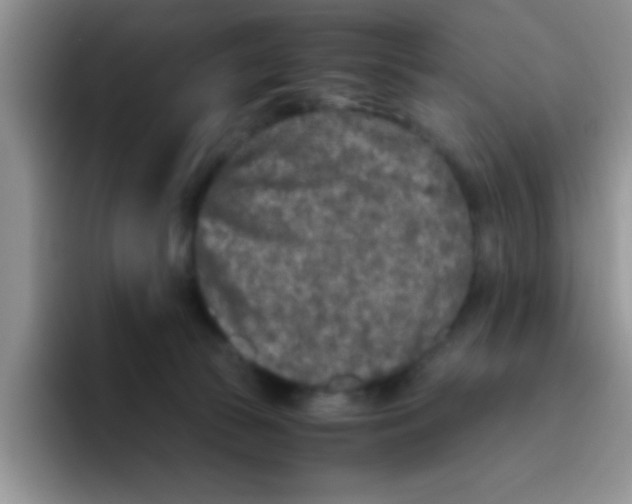 X0000095910177200802081100