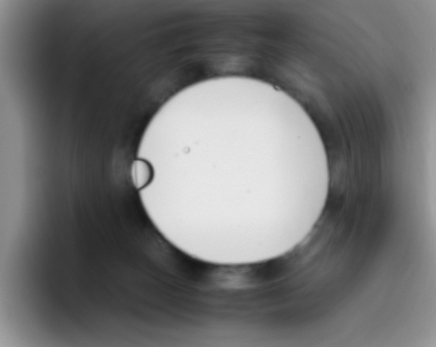 X0000095910179200802081100