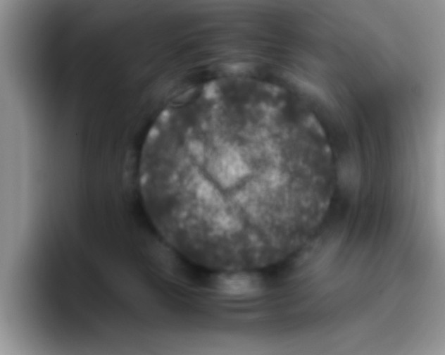 X0000095910181200802081100