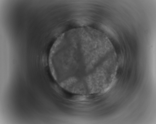 X0000095910182200802081100