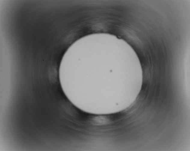 X0000095910183200802081100