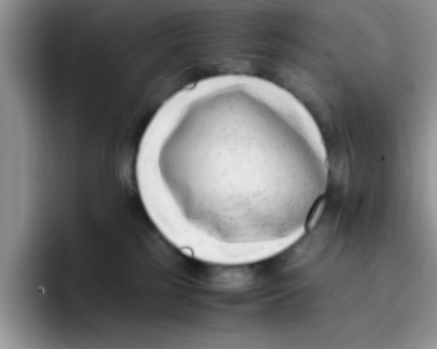 X0000095910185200802081100