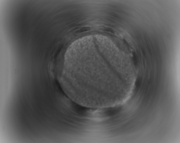 X0000095910186200802081100