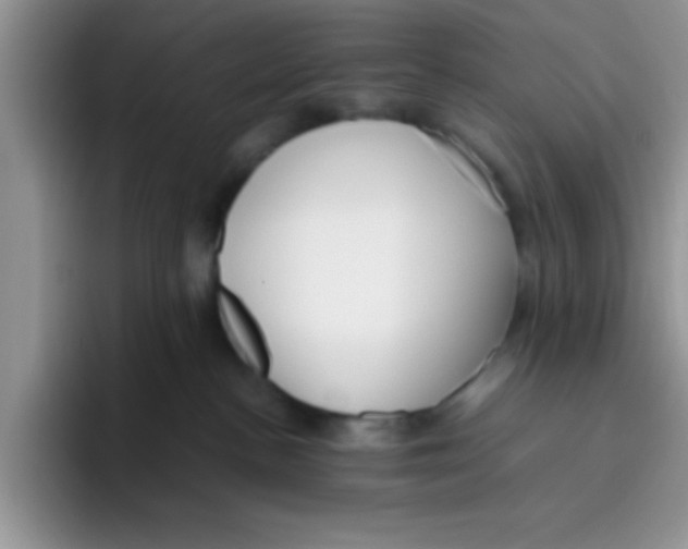 X0000095910188200802081100