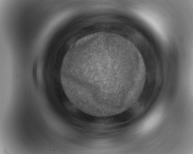 X0000095910189200802081100