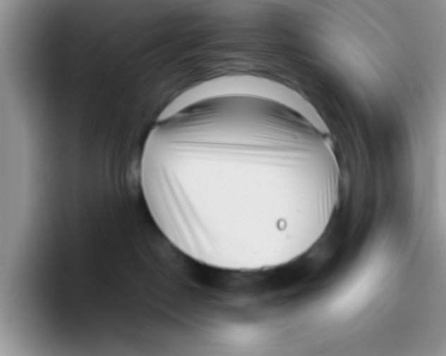 X0000095910190200802081100