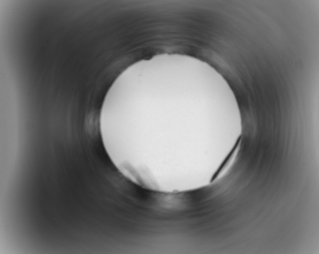 X0000095910191200802081100