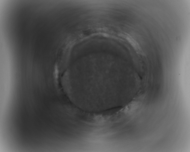 X0000095910192200802081100