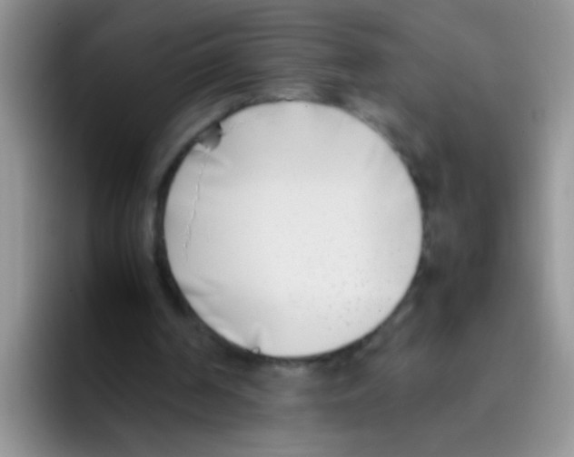 X0000095910194200802081100