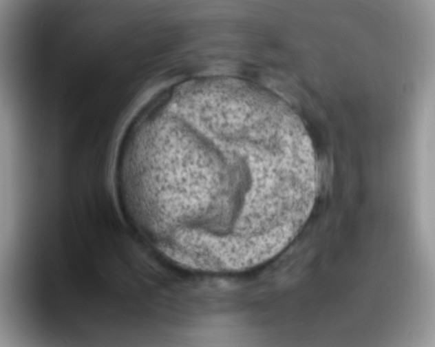 X0000095910195200802081100