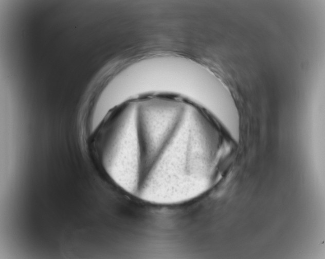 X0000095910197200802081100