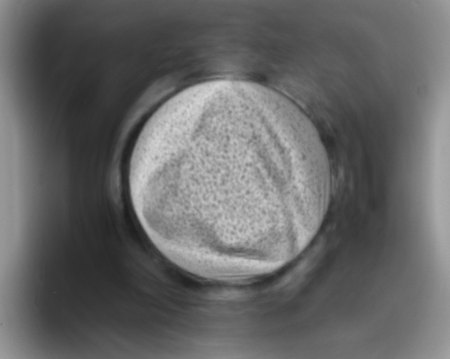 X0000095910198200802081100