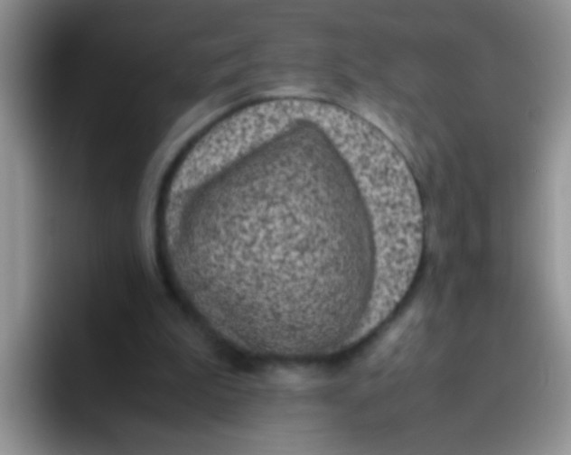 X0000095910199200802081100