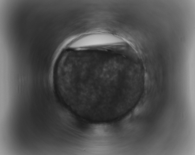 X0000095910200200802081100