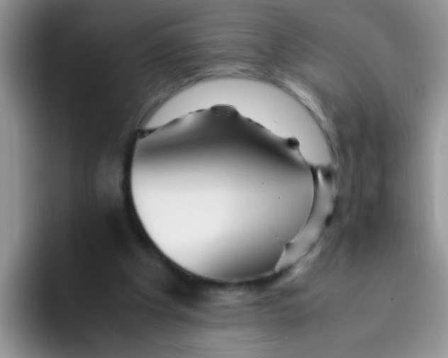 X0000095910201200802081100