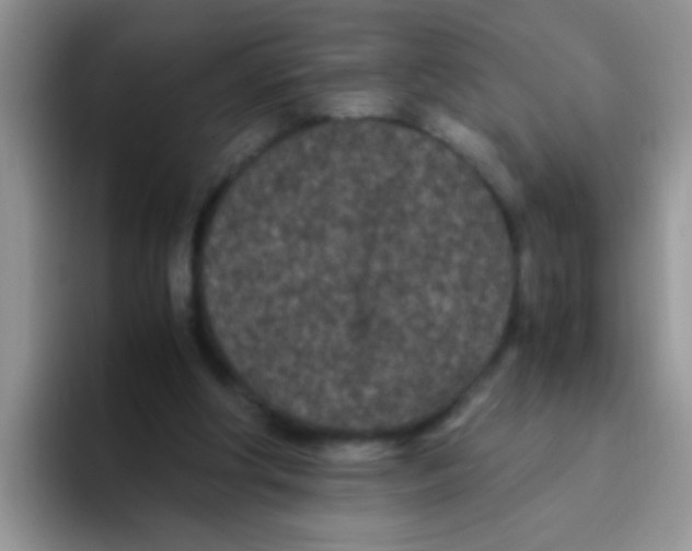 X0000095910202200802081100