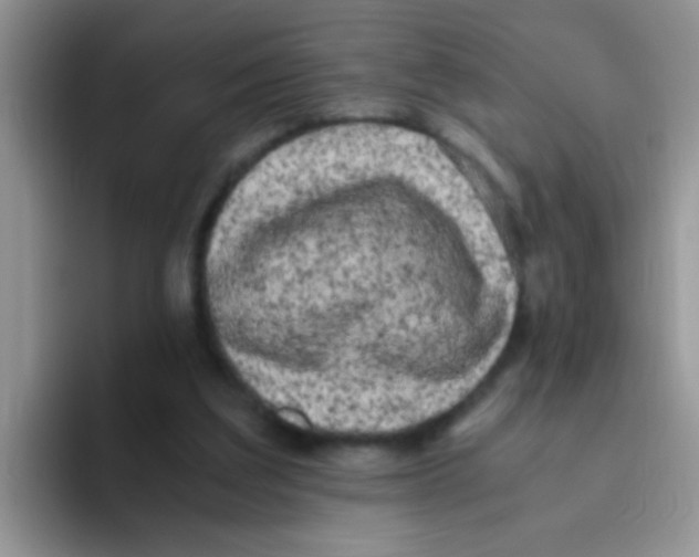 X0000095910203200802081100