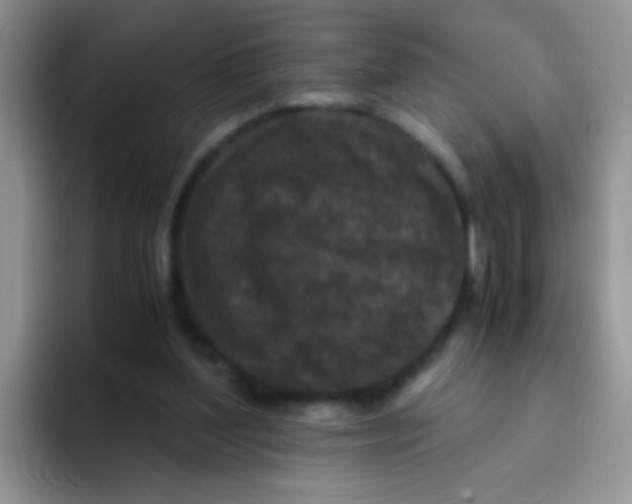 X0000095910204200802081100