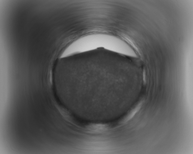 X0000095910205200802081100