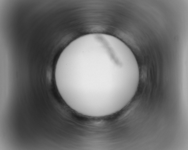 X0000095910206200802081100