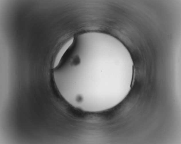 X0000095910207200802081100