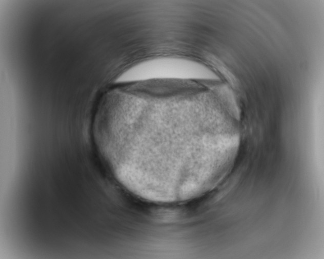 X0000095910209200802081059