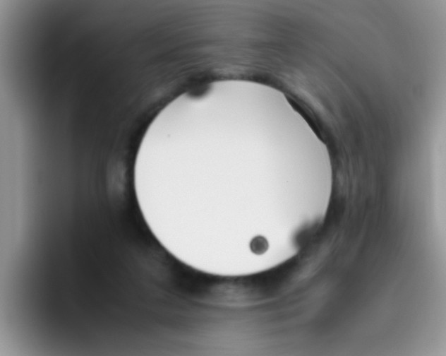 X0000095910211200802081059