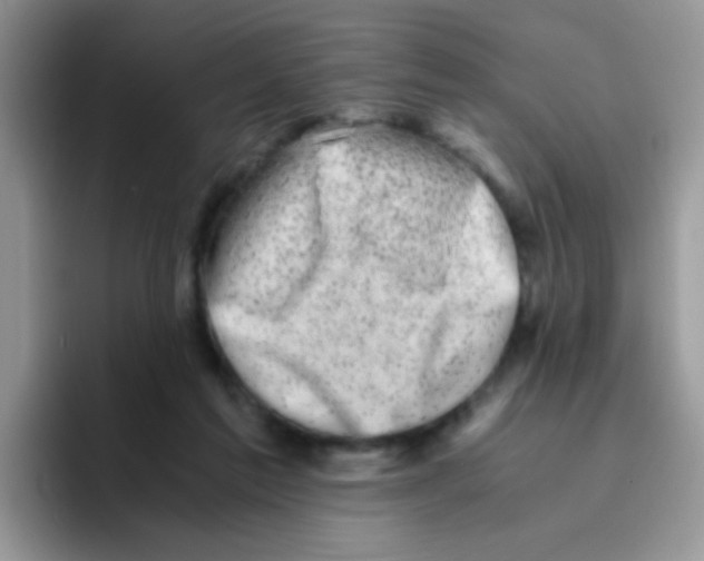 X0000095910213200802081059